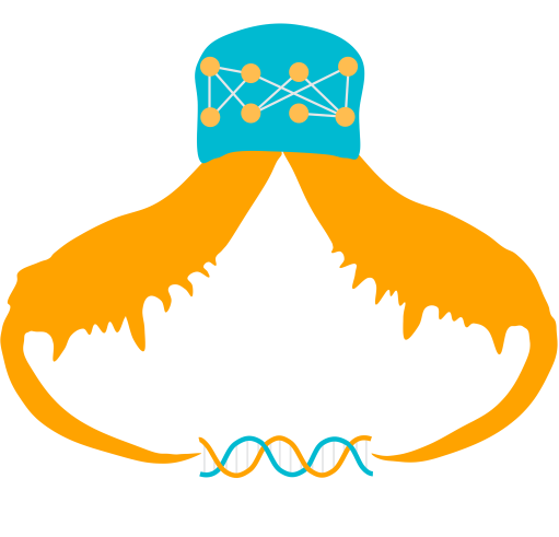Foraging Ecology Research Group