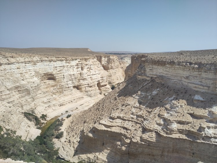 EcoNet2023 and research visit to&nbsp;HUJI