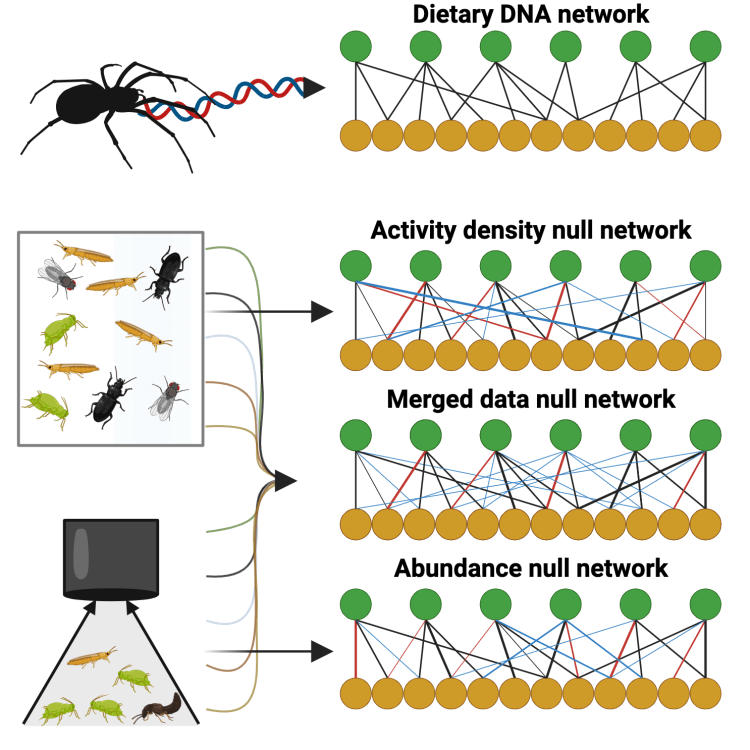 NEW PAPER: Sources of prey availability data alter interpretation of outputs from prey choice null&nbsp;networks