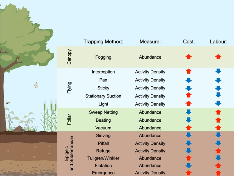 NEW PAPER: Metabarcoding advances agricultural invertebrate biomonitoring by enhancing resolution, increasing throughput and facilitating network&nbsp;inference