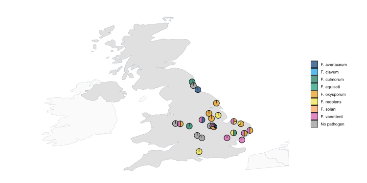 New preprint: Identifying the Fusarium species involved in foot rot disease of faba beans in the UK using a combined molecular and microbiological&nbsp;approach