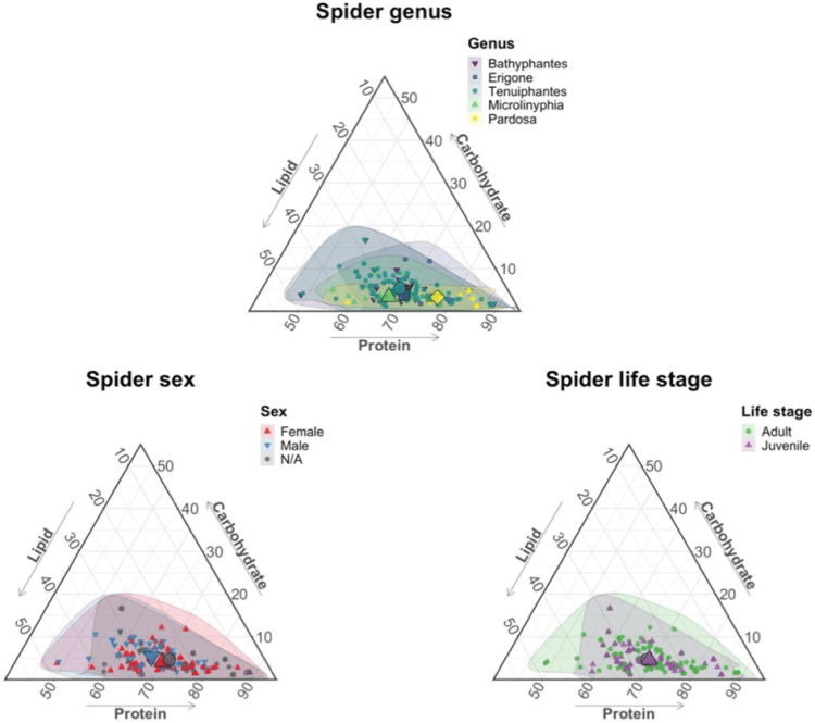 NEW PAPER: Prey nutrient content is associated with the trophic interactions of spiders and their prey selection under field&nbsp;conditions