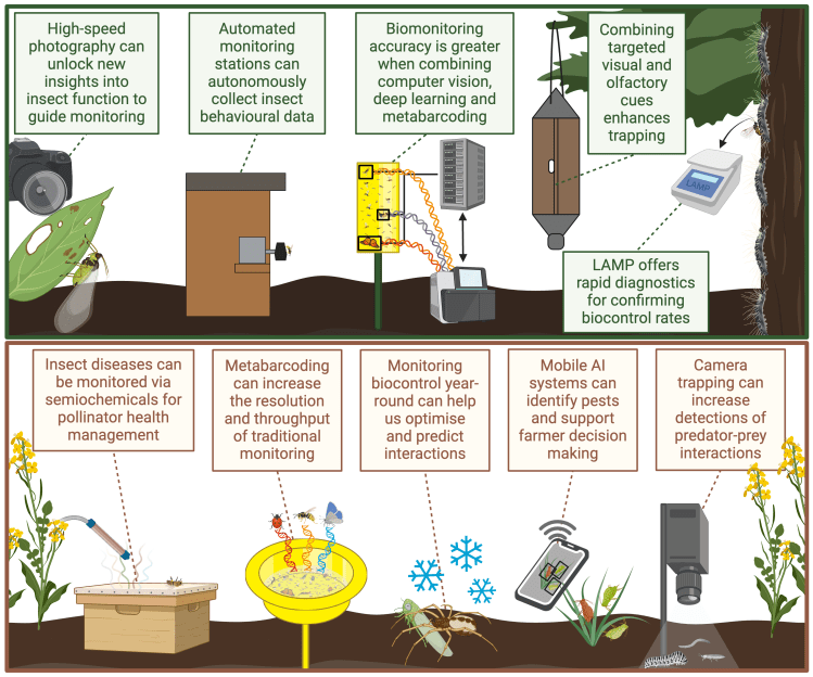 SPECIAL ISSUE: Advances in insect biomonitoring for agriculture and&nbsp;forestry
