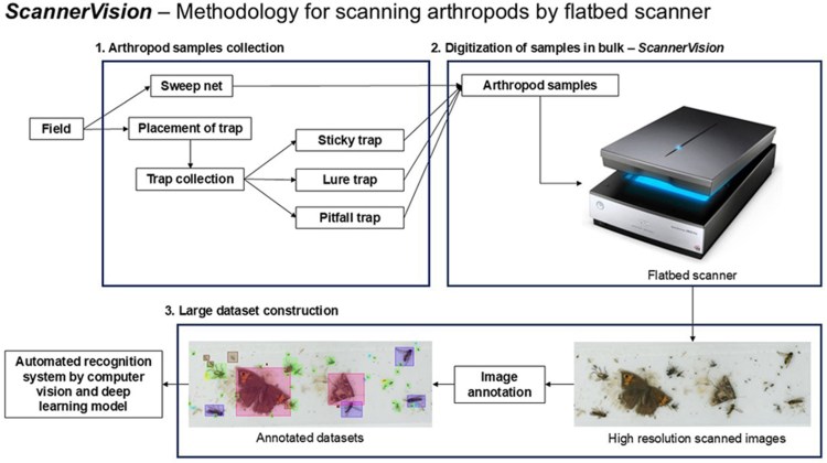 NEW PAPER: ScannerVision: Scanner-based image acquisition of medically important arthropods for the development of computer vision and deep learning&nbsp;models