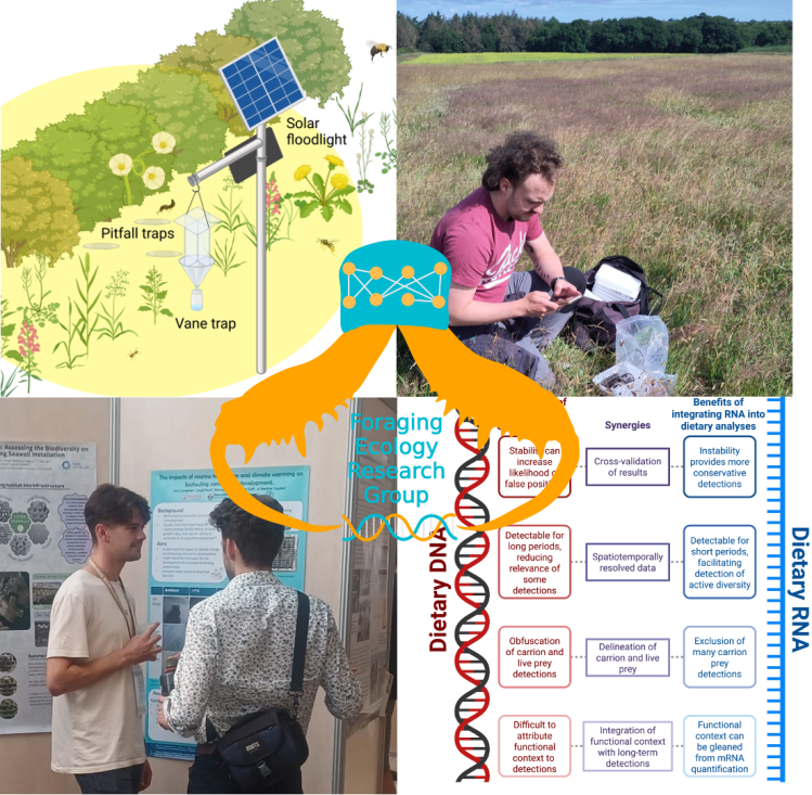 FERG News July&nbsp;2025