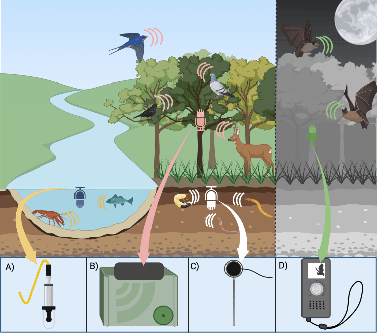 New preprint: Ecoacoustics for context-rich direct and indirect trophic interaction data and ecological network&nbsp;construction