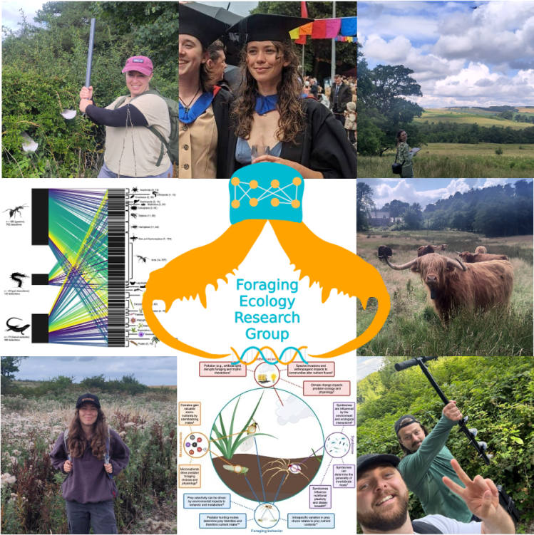 FERG News August&nbsp;2025