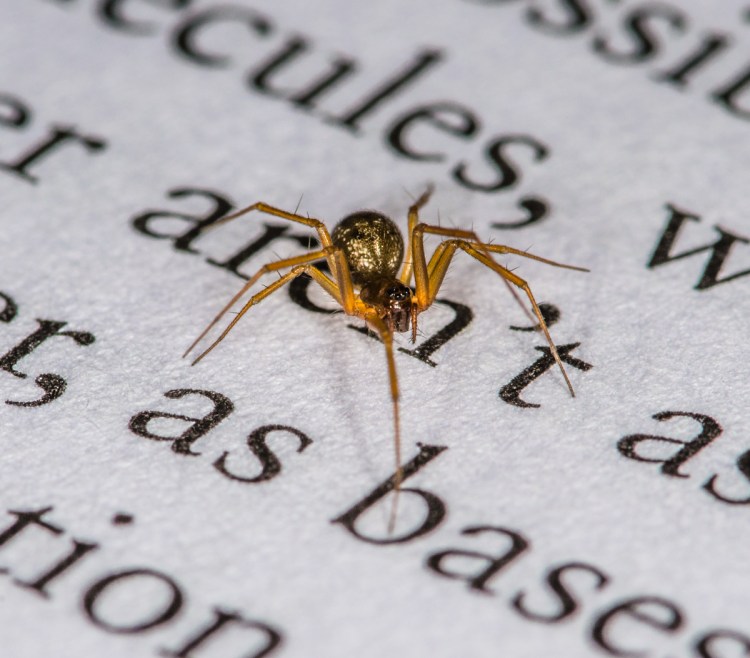 Happy Peer Review&nbsp;Week!