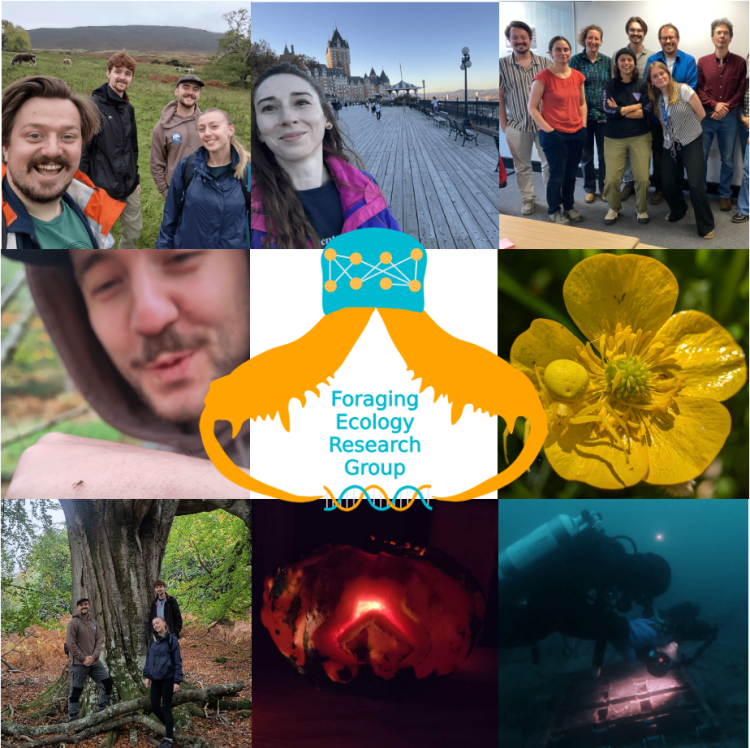 FERG News November&nbsp;2025