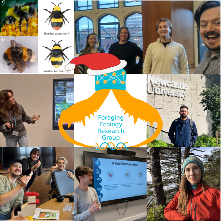 FERG News December&nbsp;2025