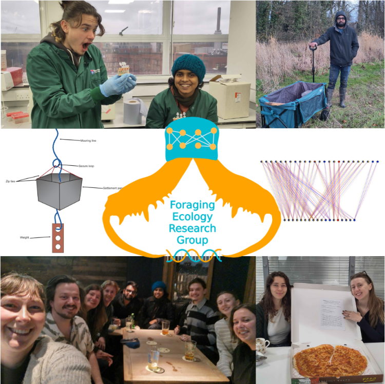 FERG News February&nbsp;2026