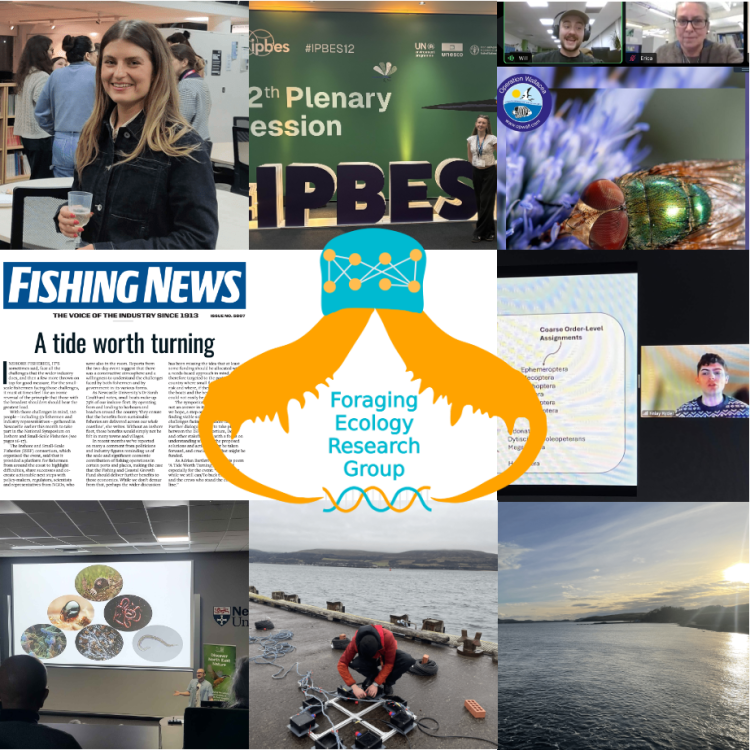 FERG News March&nbsp;2026