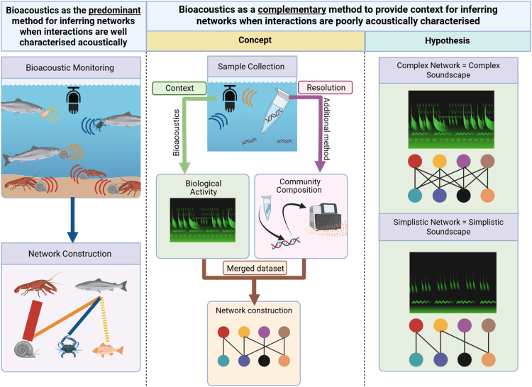 NEW PAPER: Ecoacoustics for context-rich direct and indirect trophic interaction data and ecological network&nbsp;construction