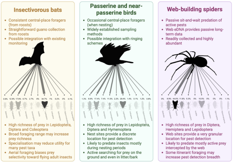 New preprint: Evaluating the potential of molecular dietary analysis of predators for the detection of emerging plant&nbsp;pests