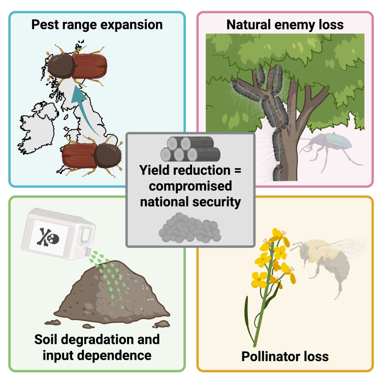 New preprint: Insects as agents of national security: entomological biodiversity loss and ecosystem collapse in agriculture and forestry threaten geopolitical&nbsp;stability