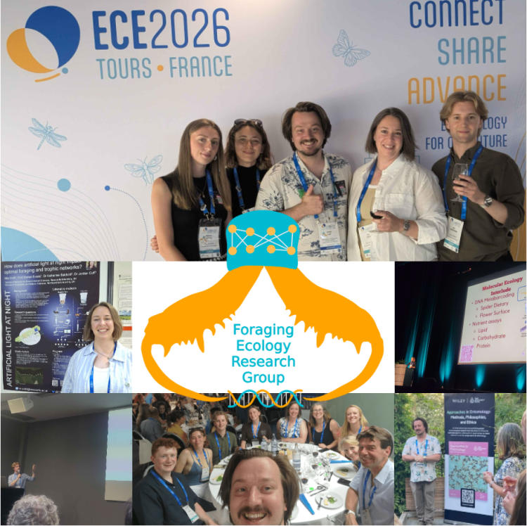 FERG at the European Congress of Entomology 2026 in Tours,&nbsp;France!