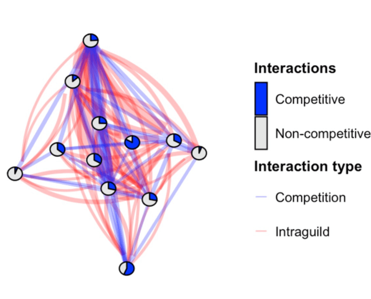 NEW PAPER: Intraguild interactions drive the dynamics of a complex community of globally invasive ant&nbsp;species