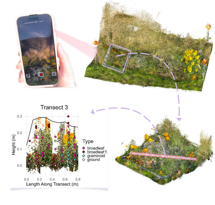 New preprint: iPhone lidar can accurately capture fine-scale understorey vegetation&nbsp;structure