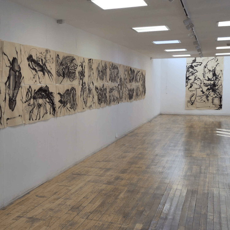 Yiran’s work displayed in Newcastle’s Hatton&nbsp;Gallery!